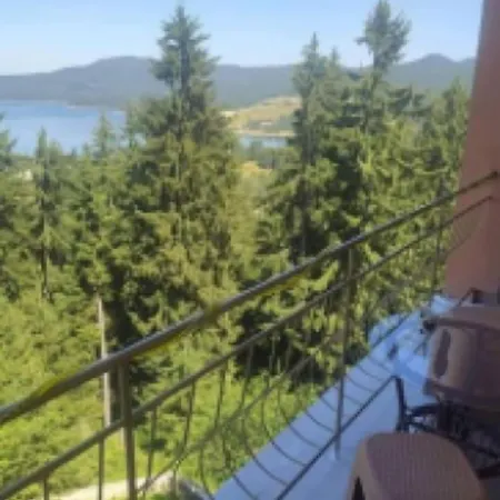 Holiday home Вила Графити Dospat